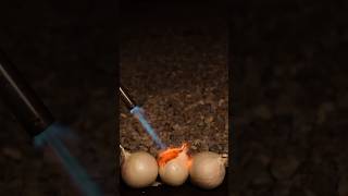 Fire Flame vs Onion onion vs fireflame shorts experiment asmr satisfying grilling [upl. by Wanda]