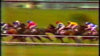 La Mer NZ 1978 Manawatu Challenge Stakes [upl. by Cohin201]