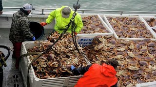 Everyone should watch this Fishermens video  Commercial Dungeness Crab Fishing in the Deep Sea [upl. by Nosnirb]