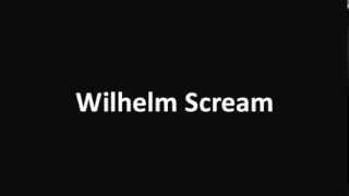 Wilhelm Scream sound effect [upl. by Bitthia]