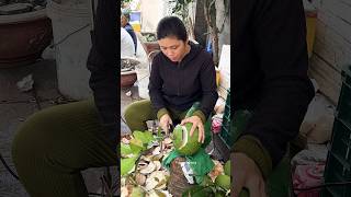 Vietnamese Woman Selling Tropical Fruit Pomelos  Fruit Cutting Skills [upl. by Benoite]