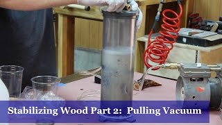 Stabilizing Wood Part 2  Pulling Vacuum [upl. by Denna570]