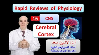 Physiology Reviews Cerebral Cortex [upl. by Orual]