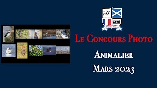 Concours Photo Catégorie Animalier Mars 2023 [upl. by Jeromy]