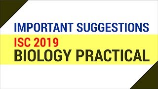 ISC 2019 Biology Practical Important Suggestions HindiUrdu [upl. by Holihs30]