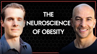 212  The Neuroscience of Obesity  Peter Attia MD amp Stephan Guyenet PhD [upl. by Eenaj]