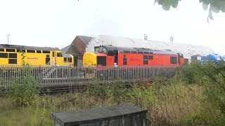 97302  97304  37405 Stabled  Coleman Yard  Shrewsbury 120924 [upl. by Atnad654]