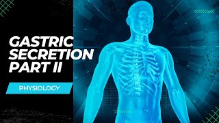 Gastric secretion Part 2 Tamil [upl. by Dnumde]