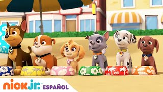 PAW Patrol Patrulla de cachorros  Diversión en el tobogán  Nick Jr en Español [upl. by Aneram]