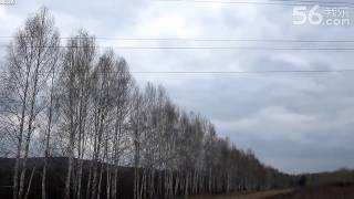 Amazing High Voltage Power Line Explosion Caught on Camera [upl. by Stanway77]