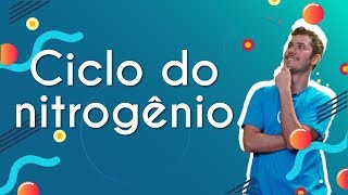 Ciclo do nitrogênio  Brasil Escola [upl. by Enileoj]