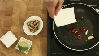 KOCHEN MIT SNACKINSECTS FRITTIERTE HEUSCHRECKEN  ESSBARE INSEKTEN KOCHEN [upl. by Rehotsirk517]