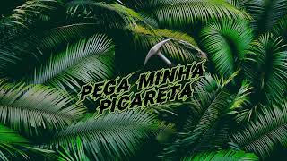 PEGA MINHA PICARETA ⛏️  DEEJAY TELIO  RENNAN DA PENHA  SAVANAH [upl. by Lau904]