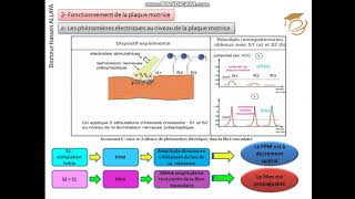 SVTFonctionnement du muscle squelettiquePart IIFonctionnement de la plaque motriceEclass Academy [upl. by Masuh65]