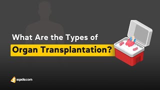 What are the types of Organ Transplantation  Immunology Basics for Students [upl. by Ayekam466]