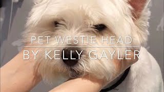 Pet Westie Head Grooming Tutorial [upl. by Inahc]