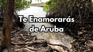 Guía Completa Parte Final Aruba Te Dejará Con Ganas de Más [upl. by Aketahs]