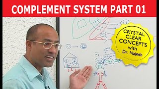 Complement System  Immunology  Part 118 [upl. by Kassity692]