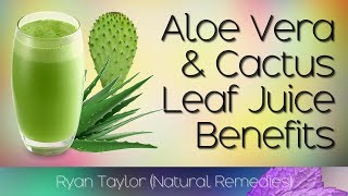 Cactus and Aloe Vera Juice Benefits [upl. by Kosse]