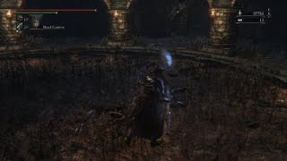 Bloodborne  Beastpossessed Soul Central Pthumeru Chalice [upl. by Odnumde347]