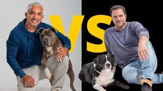 Millan vs Rütter Wer ist der bessere Hundetrainer [upl. by Dyrraj]