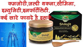 Zandu Shilajit Resin Uses Benefits Dosage Side Effects  Asphaltum ✅ [upl. by Heall]