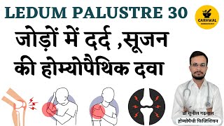 Ledum pal 30 Uses in Hindi  Ledum Palustre 200 uses in Hindi  Ledum pal 30  Ledum pal 200 [upl. by Trever205]