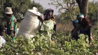 hessnatur  BioBaumwolle in Burkina Faso [upl. by Naara422]