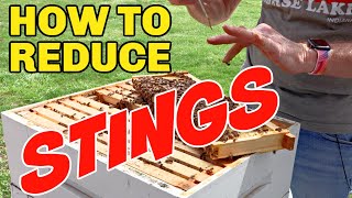 Beekeeping How To Reduce Your Chances Of Being Stung [upl. by Jollanta]