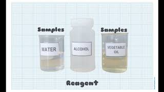 BINUS SCHOOL Serpong  Secondary Biology Department  Emulsion Test for Lipids [upl. by Odrautse]