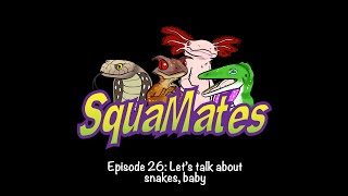 SquaMates Ep 26 Lets talk about snakes baby [upl. by Aisenat229]