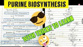 Purine Biosynthesis de novo and salvage pathway 🤩🤩 [upl. by Heinrich]