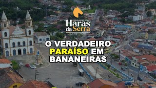 O VERDADEIRO PARAÍSO EM BANANEIRAS [upl. by Lougheed]