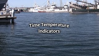 TimeTemperature Indicators [upl. by Jo]