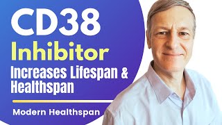 CD38 Inhibitor Increases Lifespan amp Healthspan  Review By Modern Healthspan [upl. by Glaser62]