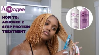 HOW TO APHOGEE TWO STEP PROTEIN TREATMENT ON BLEACHED HAIR [upl. by Asilahs192]