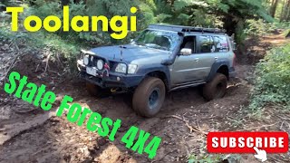 TOOLANGI STATE FOREST 4X4 epp032 [upl. by Patten]