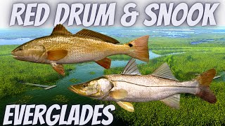 Fishing Planet EVERGLADES Florida  XP amp MONEY FARM Trophy Snook amp Red Drum Best Place for low Level [upl. by Cassiani132]