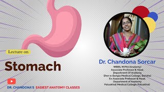 Lecture on Stomach [upl. by Salvucci]