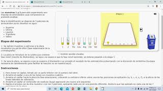 cromatografía laboratorio virtual [upl. by Giraldo863]
