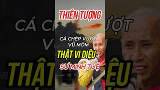 Sư Minh Tuệ Thật Vi Diệu Hiện Tượng Lạ Cá Chép Vượt Vũ Môn thichminhtuemoinhat vulanbaohieu [upl. by Fari]