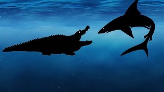 Great White Shark Vs Saltwater Crocodile Pivot [upl. by Sihtnyc]