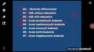 Pathologyhls  Acute myeloid leukemia  part1 [upl. by Derdle]