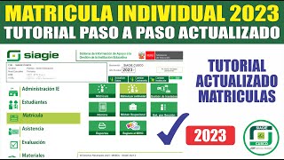 Siagie  Matricula INDIVIDUAL 2023  Tutorial COMO MATRICULAR ALUMNOS NUEVOS Y ANTIGUOS [upl. by Wye]