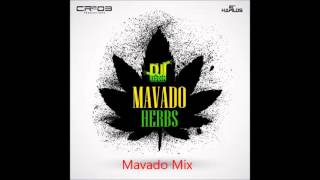 Mavado  Mix 2014 Lo Mejor [upl. by Yantruoc]