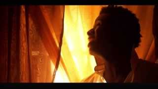 Romain Virgo  Beautiful Official Video 2013 [upl. by Kendrick667]