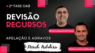 RECURSOS no DIREITO TRIBUTÁRIO  APELAÇÃO e AGRAVO [upl. by Assirroc]