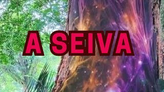 A Seiva [upl. by Enelec]