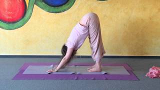 Short Yoga Sequence Mayuri Asana Ustrasana Svanasana Padahastasana Tatasana [upl. by Jueta902]