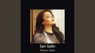 Sari Gelin Kurdish Live Performance [upl. by Noled161]